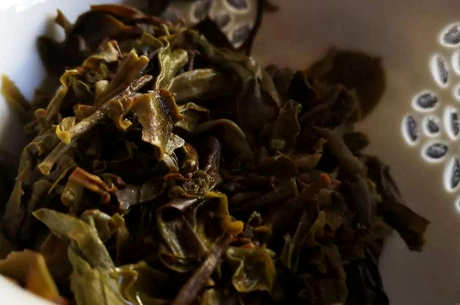 小冰岛茶和冰岛茶的区别