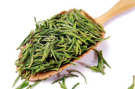 安吉白茶属于什么茶？
