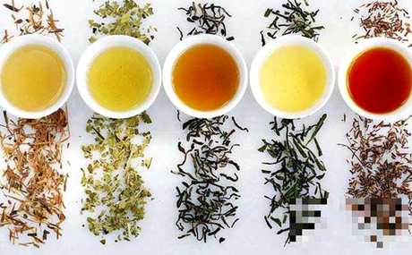 红茶和绿茶有什么区别？