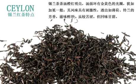 红茶分类及所代表的品种