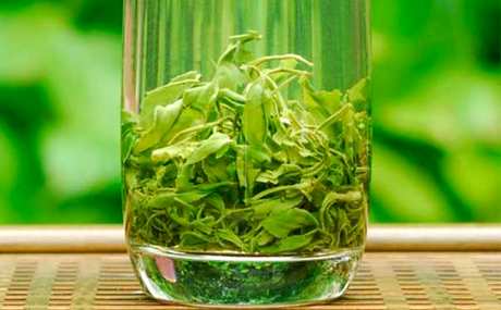 绿茶的功效和作用