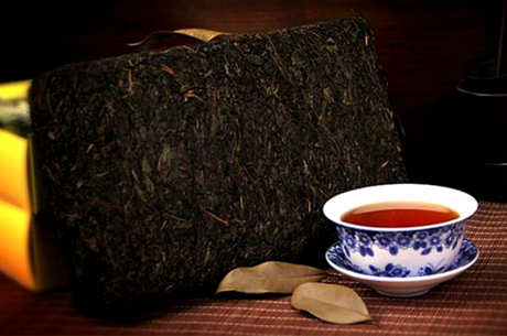 介绍千两茶的功效及注意事项