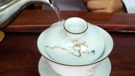 白茶怎么泡