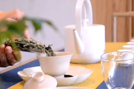 白茶怎么泡