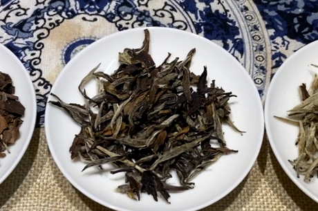 白茶怎么泡
