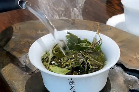 白茶的酿造方法和酿造技巧