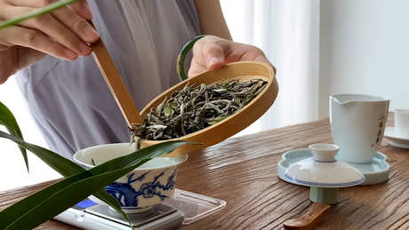 冲泡白牡丹茶的方法
