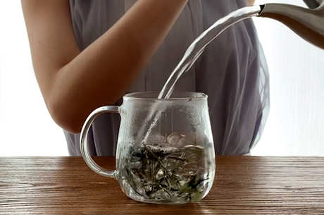 冲泡白牡丹茶的方法