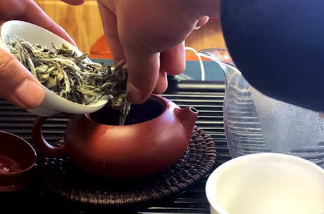 冲泡白牡丹茶的方法