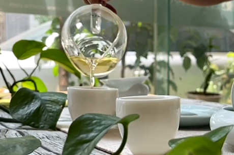 铁观音属于乌龙茶吗？