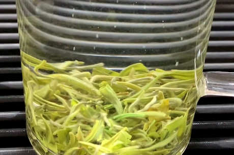 喝茶的最佳时间