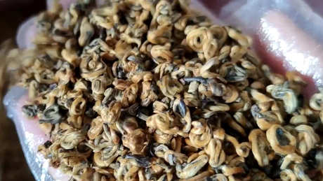 云南红茶的功效和作用