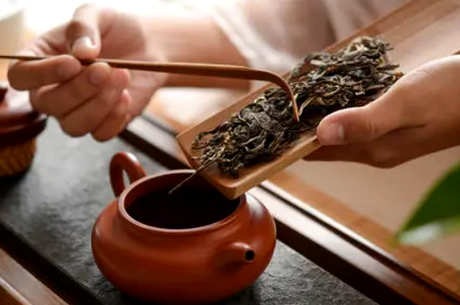 普洱茶冲泡的9个步骤和方法