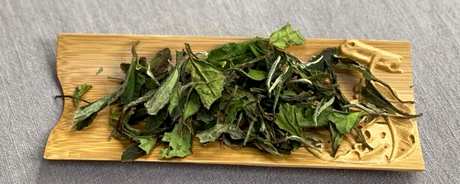 秋茶是什么意思？