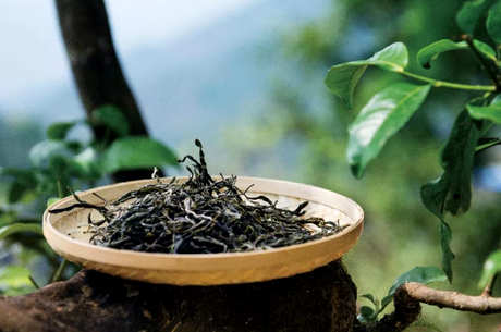 小罐茶有几种茶