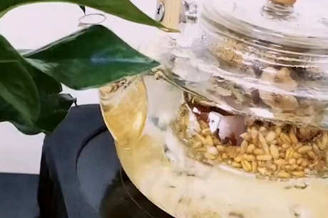女性喝大麦茶的好处
