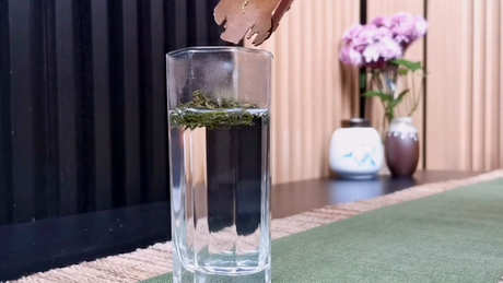 冲泡绿茶的方法
