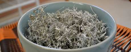 浆果茶的产地在哪里？