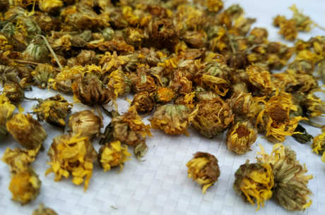 如何制作野菊花茶？