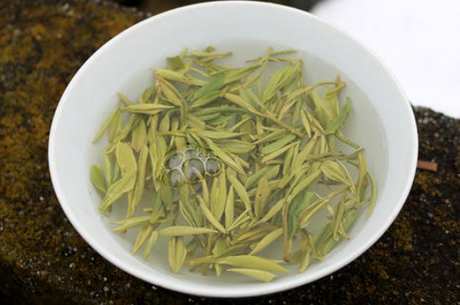 喝绿茶有什么好处和坏处？