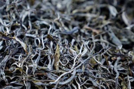 老班章属于什么茶？
