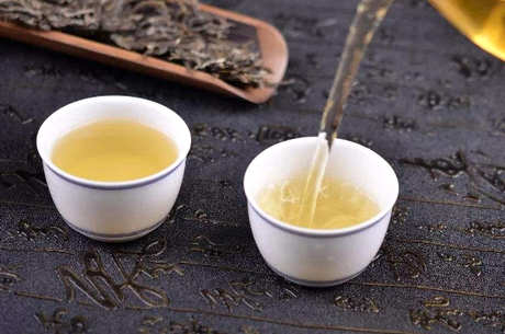 正确饮用熟普洱茶