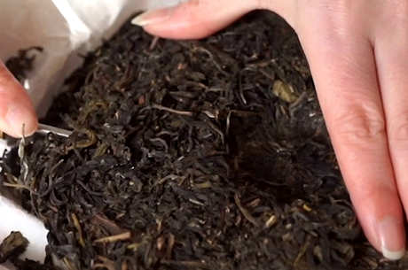 老年人喝什么茶对身体有好处？