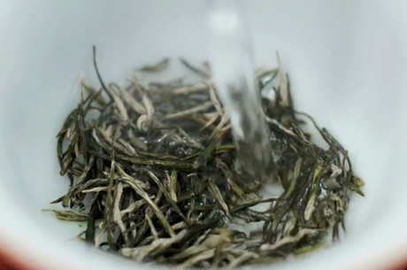 毛尖茶泡法