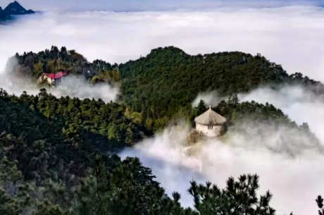 庐山云背后的昙花指的是