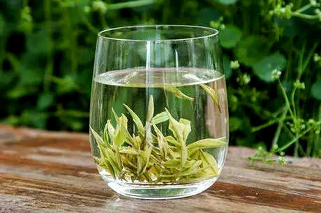 茶叶有几种