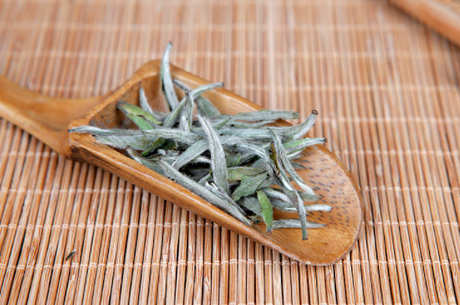 什么茶属于白茶？