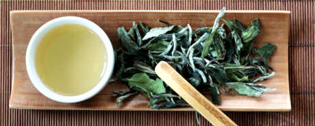 白露茶属于什么茶？