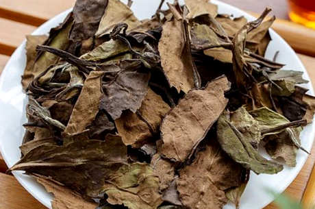 白露茶属于什么茶？