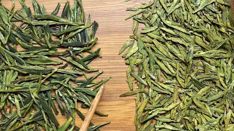 龙井茶的产地在哪里？