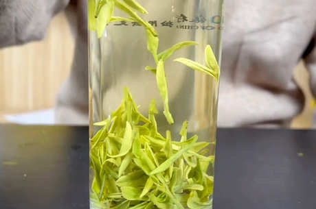 龙井茶的产地在哪里？