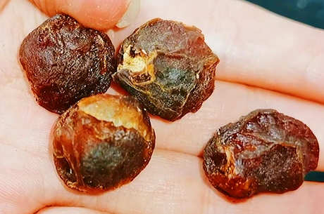 什么样的玫瑰配茶最好？