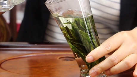 普通绿茶有哪些品种？