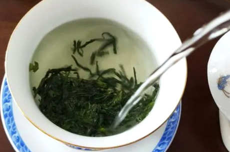 安徽茶叶品种