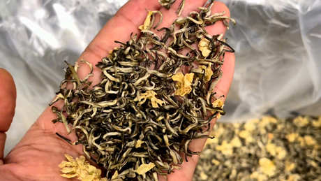 喝茉莉花茶的好处和坏处