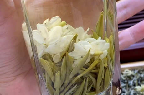 喝茉莉花茶的好处和坏处