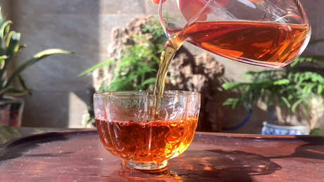 茶中含有什么成分？