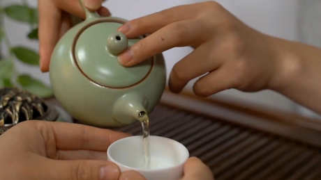 茶的起源