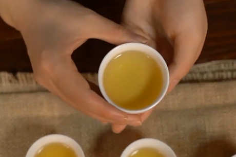 茶的起源