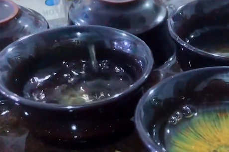 十大单杉茶品种