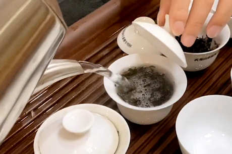 十大单杉茶品种