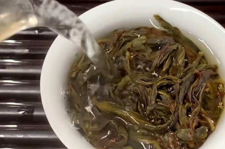 十大单杉茶品种
