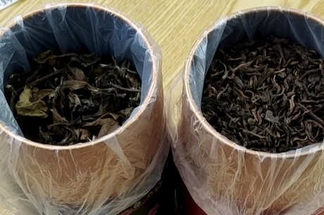 如何用废茶做花肥？