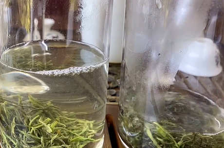 长期喝茶对身体有害吗？