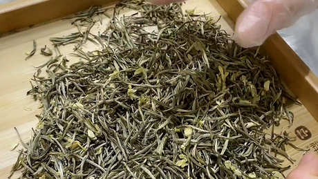 茉莉是绿茶还是红茶？