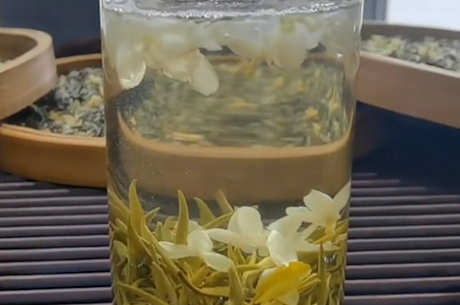 茉莉是绿茶还是红茶？